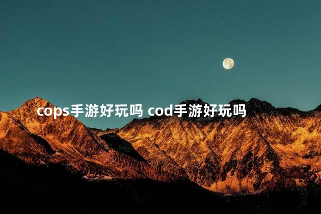 cops手游好玩吗 cod手游好玩吗